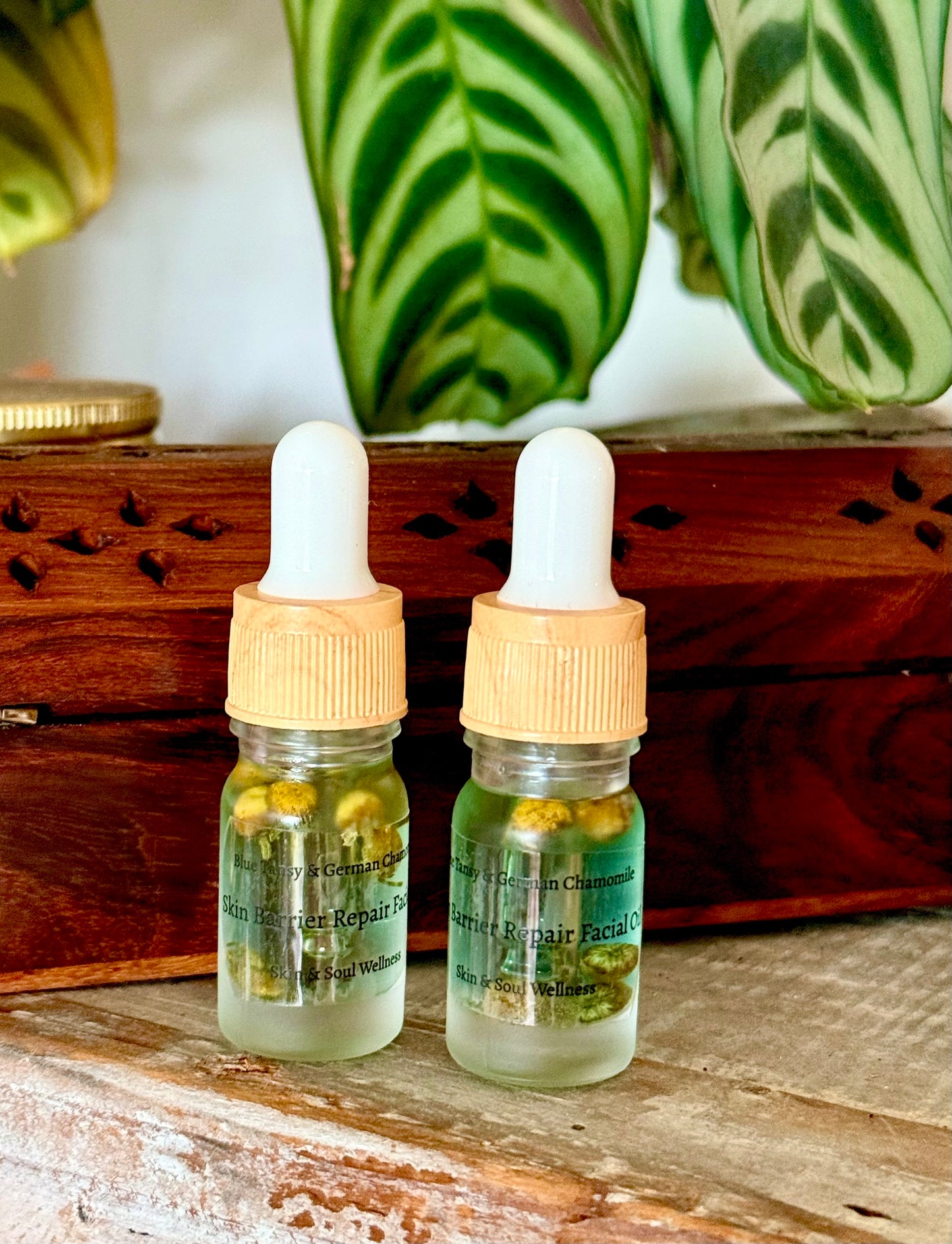 Blue Tansy Barrier Repair: Face Oil