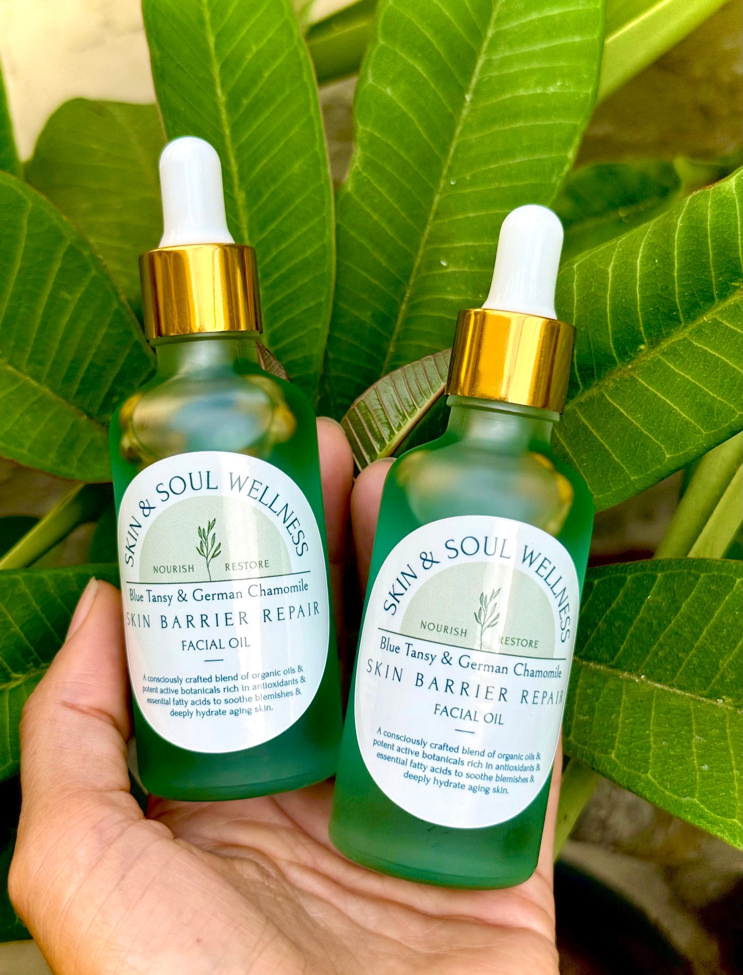 Blue Tansy Barrier Repair: Face Oil